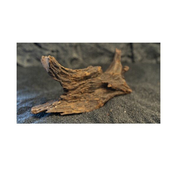 Amtra Croci Mystic Wood 25-30 cm